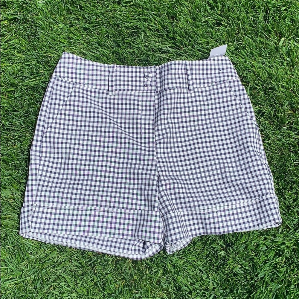 New York & Company Blue Gingham Shorts